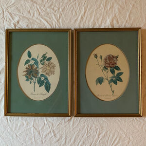Two Vintage Framed Botanical Floral Prints, Green & Gold